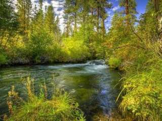 Lower Canyon Creek Campground