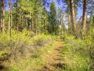 Pine Rest Campground