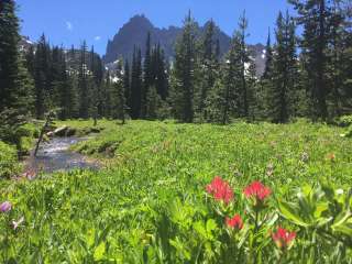 Jack Lake Campground