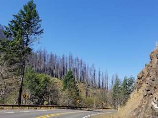 Ochoco National Forest