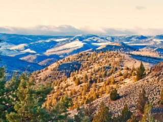 Ochoco Forest Camp