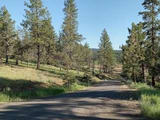 Mud Springs Horse Camp