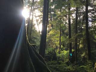 Beverly Beach State Park