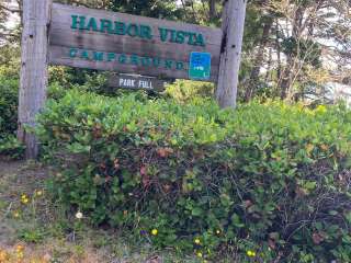 Harbor Vista Campground