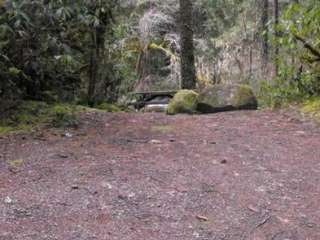 Olallie Campground