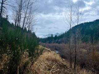 Cougar Crossing Campground