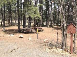 Moqui Group Campground - Coconino National Forest