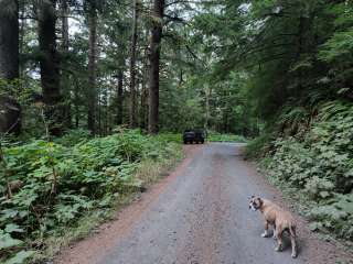 Suislaw National Forest Dispersed Camping