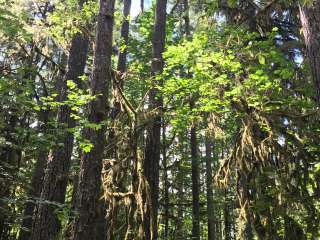 Trout Creek Campground