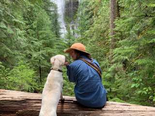 McKenzie River Area