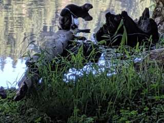 Upper Lake Creek - Hult Reservoir