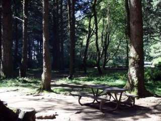 Rock Creek - Siuslaw