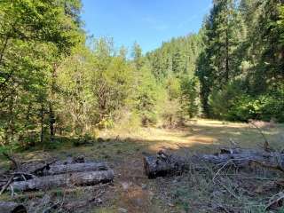 Willamette National Forest Red Diamond Group Campsite