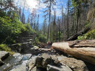 Willamette National Forest Slide Creek Campground