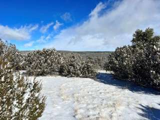 Peace of Mind Campgrounds: SHOW LOW, AZ