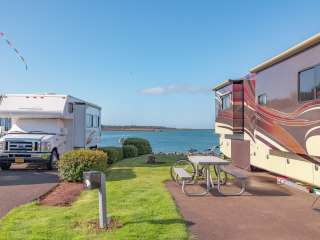 Winchester Bay RV Resort