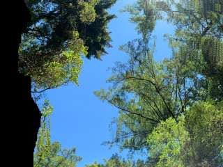 KOA Lemolo Lake / Crater Lake North