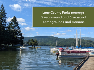 Baker Bay Campgrounds & Marina - a Lane County Park