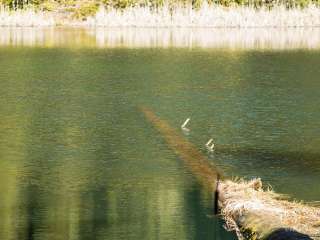 Lake In The Woods