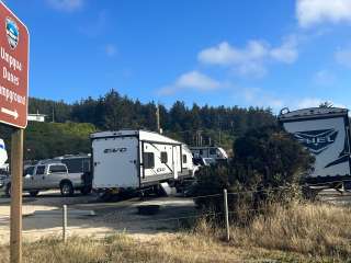 Umpqua Dunes Campground