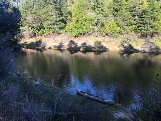 Siuslaw National Forest Carter Lake Campground