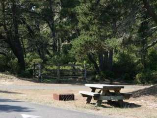 Wild Mare Horse Campground