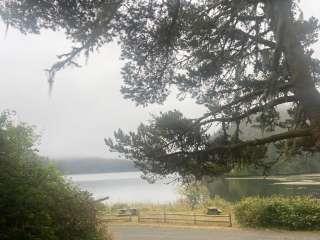 Siuslaw National Forest Tahkenitch Landing Campground