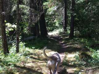 Sacandaga Campground