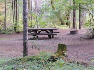 Ash Flat Campground