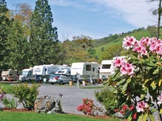 Rivers West South Umpqua Campground