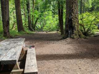 Willamette National Forest Frissell Crossing Campground