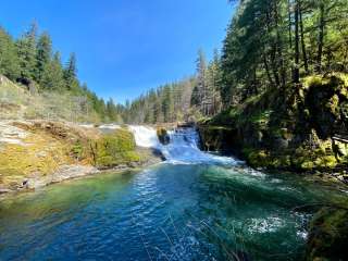 Umpqua National Forest Steamboat Falls Campground