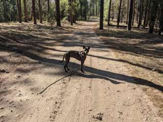 West Clear Creek Dispersed Camping