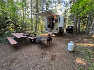 Willamette National Forest Sacandaga Campground