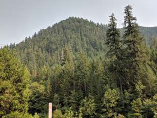 Umpqua National Forest Bunker Hill Campground