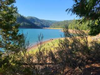 Willamette National Forest Packard Creek Campground