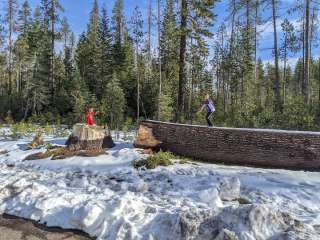 Claude Lewis Trailhead / Sno-Park