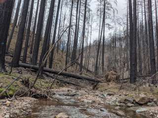 Umpqua National Forest Bogus Creek Campground