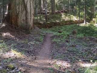 Forest Road 960 by Pacific Crest Trail PCT