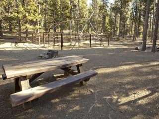 Whitefish Horse Camp