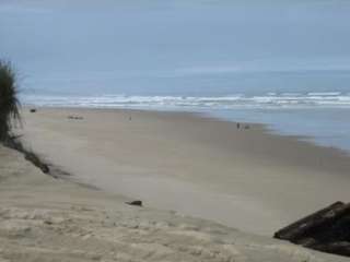 Siuslaw National Forest Horsfall Sand Camping Access