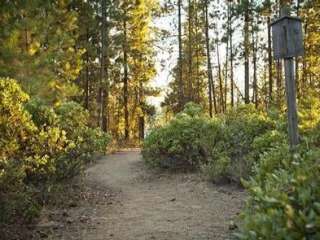 West South Twin Campground