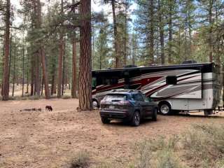 NF-70 Dispersed Camping Near Crater Lake NP