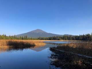 Mallard Marsh Campground