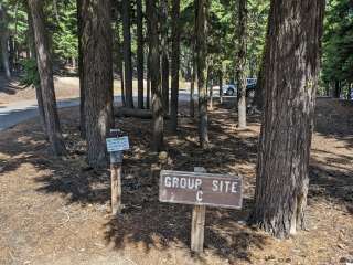 Newberry Group Camp Site