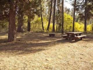 Crescent Creek Campground