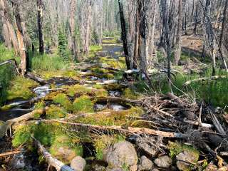 Boundary Spring