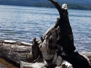 Cultus Lake Campground