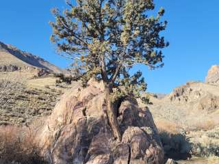 Pike Creek Primitive Camp at Alvord Hot Springs