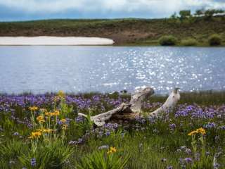 Honeymoon Pond